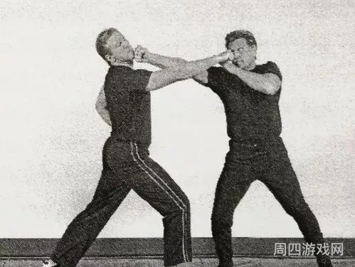 新格拳的简单介绍(5步拳)