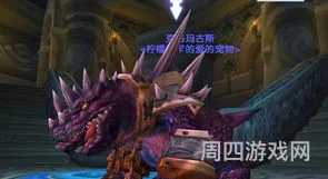 猎人稀有宠物(wow怀旧服猎人必抓五只宠物)