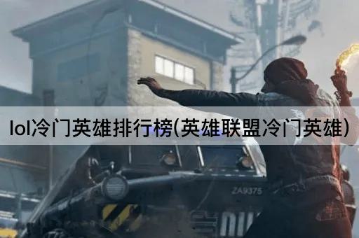 lol冷门英雄排行榜(英雄联盟冷门英雄)