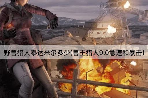 野兽猎人泰达米尔多少(兽王猎人9.0急速和暴击)