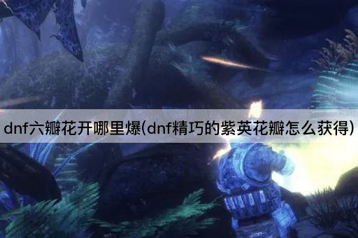 dnf六瓣花开哪里爆(dnf精巧的紫英花瓣怎么获得)