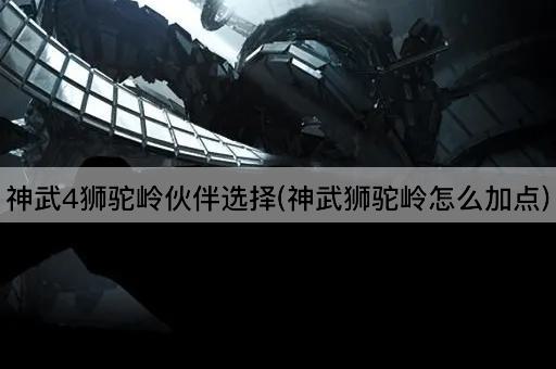 神武4狮驼岭伙伴选择(神武狮驼岭怎么加点)
