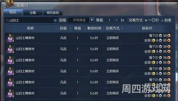 剑灵拍卖行如何单买(剑灵拍卖行手续费)