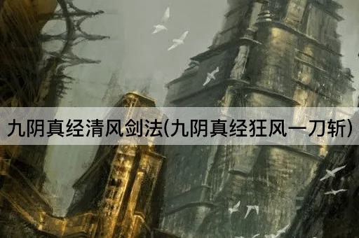 九阴真经清风剑法（九阴真经疾风刀舞）