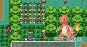 口袋怪兽哪个版本最好(口袋妖怪人气最高的版本)