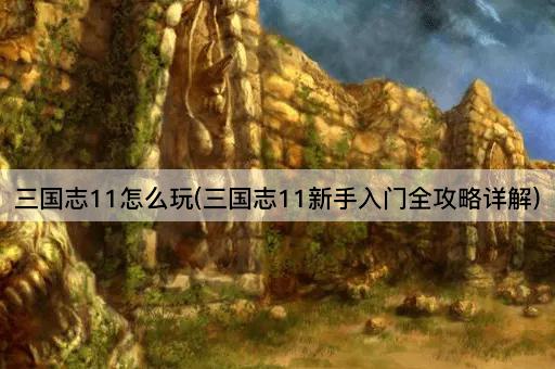 三国志11怎么玩(三国志11新手入门全攻略详解)