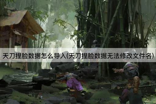 天刀捏脸数据怎么导入(天刀捏脸数据无法修改文件名)