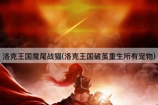 洛克王国魔尾战猫(洛克王国破茧重生所有宠物)