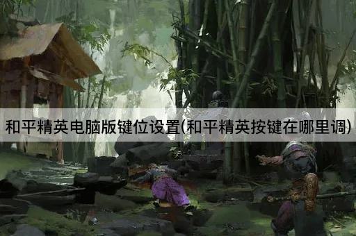 和平精英电脑版键位设置(和平精英按键在哪里调)