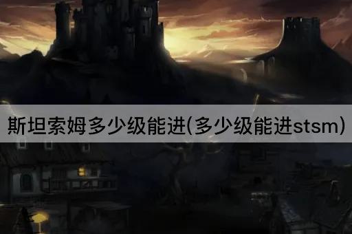 斯坦索姆多少级能进(多少级能进stsm)