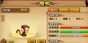 造四的宠物怎样刷出专属技能(造梦西游4宠物技能怎么刷)