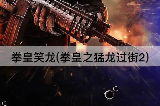 拳皇笑龙(拳皇之猛龙过街2)